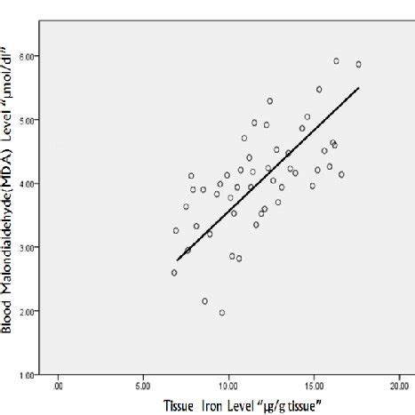 Image result for Direct Correlation