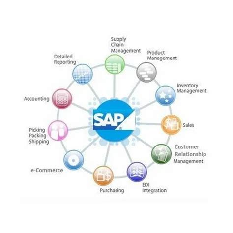 Image result for SAP Software What Is It