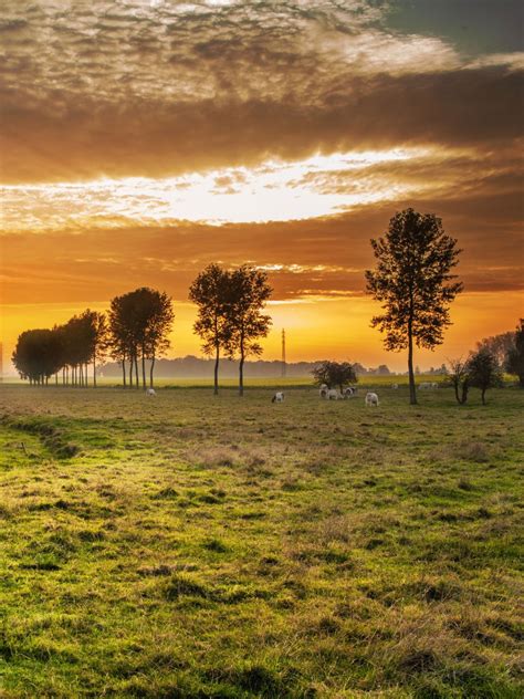 HD Wallpapers 的图像结果