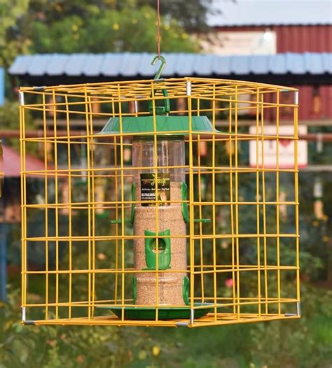 Amijivdaya Plastic Feeder with Metal Cage for Large Bird, Green, 6 ...