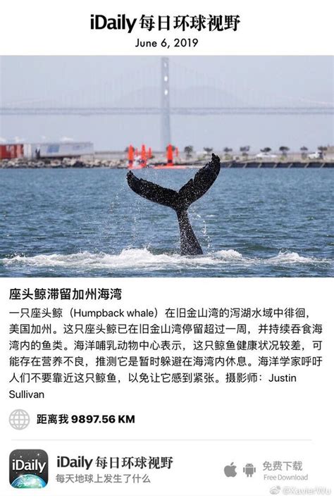 须鲸的祖先是原鲸，它是目前为止最古老的鲸鱼(水陆两栖)_探秘志