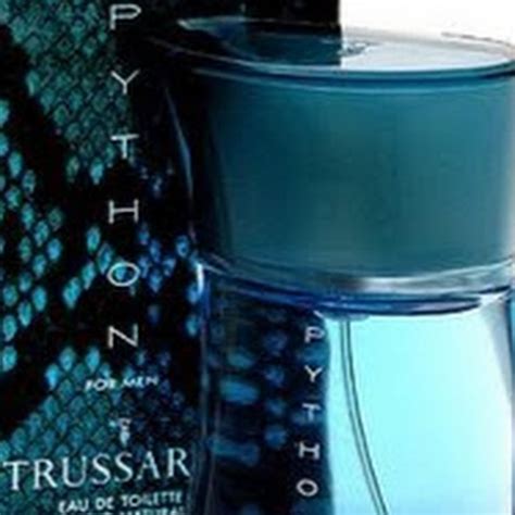 Python Nao Tutorial 的图像结果