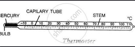 Draw diagram of dinical thermometer and write a note on it - Brainly.in