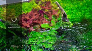 Image result for Web Development Software