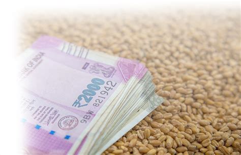 Weather Forecast | Weather in India and World | Skymet Weather