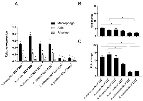 The Metallochaperone Encoding Gene hypA Is Widely Distributed among ...