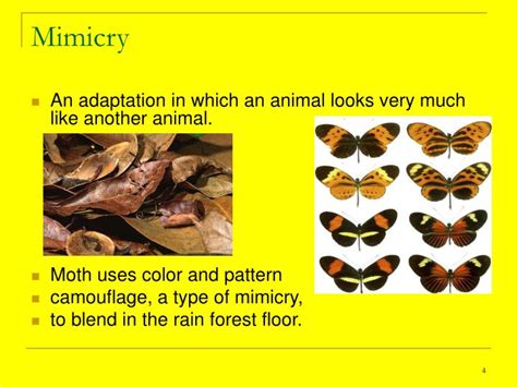 Image result for Applications of Greedy Algorithm