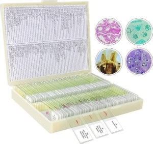 LABO 100PCS Prepared Microscope Slides Specimen Animals Insects Plants ...