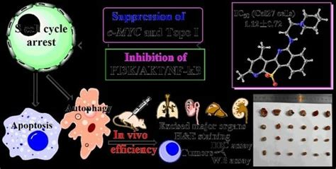 Design, Synthesis and Bioactive Evaluation of Topo I/c-MYC Dual ...