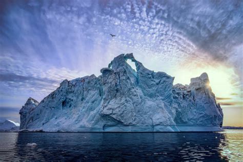 Image result for Davos Meeting 2025