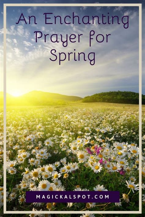 Image result for Reflection Prayer for Spring
