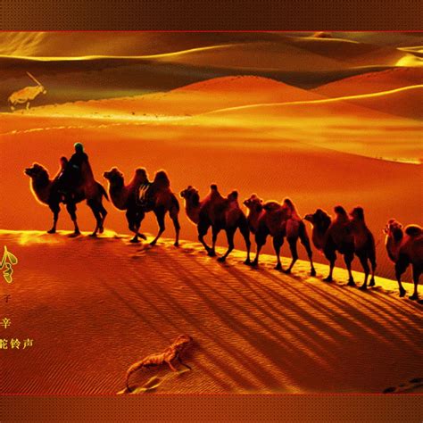 手拉骆驼穿过沙漠。大篷车穿越沙丘孤立矢量图。骆驼商队的概念在复古素描艺术复古雕刻图形风格插画图片素材_ID:394983254-Veer图库