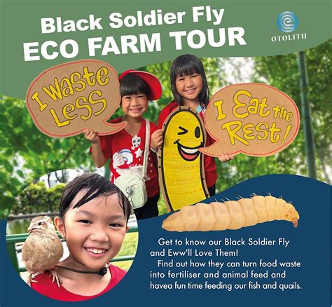 Black Soldier Fly (BSF) Eco Farm Tour, Sustainability@Tampines Park, 8 October 2022
