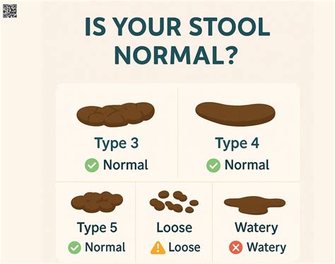 Loose Stool and Soft Stool: What It Means and When to Worry