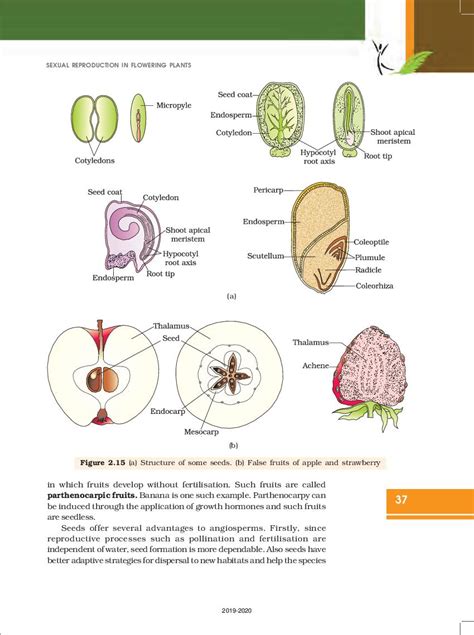 Image result for Bio Chapter 2 Class 12