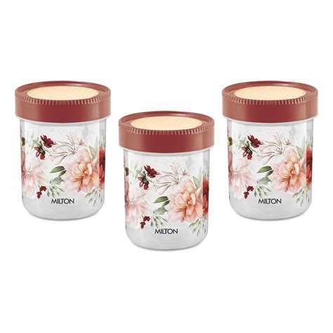 Buy MILTON Nova Plastic Container 750, Set of 3, 733 ml Each ...