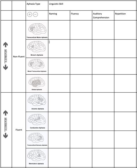 Image result for Aphasia Classification Chart