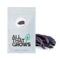 Buy Purple Pole Bean Seeds | Open-Pollinated Seeds