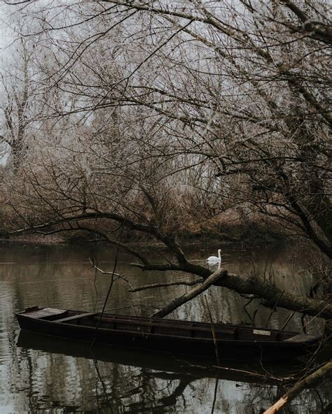 Boat 的图像结果