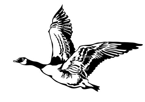 Canadian Goose Clipart