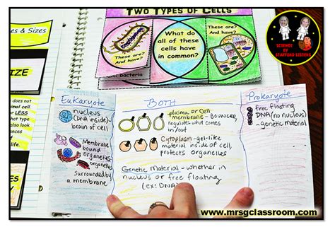 Image result for Interactive Notebook Science 4