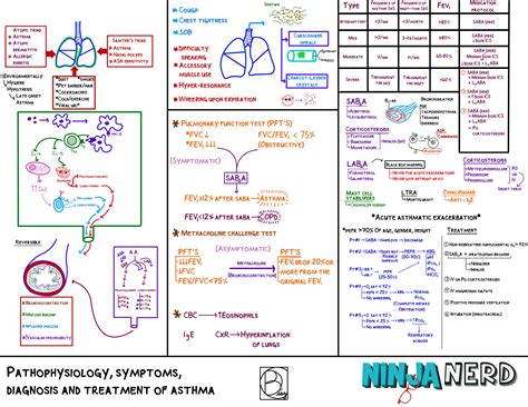 Asthma.pdf medicine ninja nerd flow chart | PDF