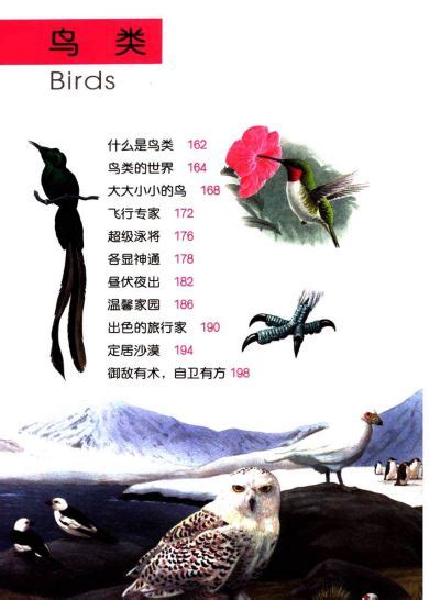 中国境内语言（300个汉语方言点、456个少数民族语言点、1064个综合语言/方言点）图谱（一）