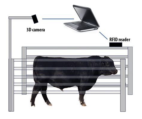 Image result for Beef Cam Module