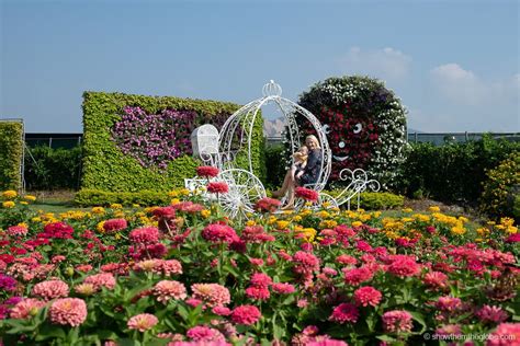 Go to Flower Market 的图像结果