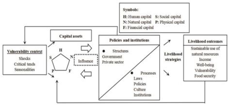 Targeted Poverty Alleviation and Households’ Livelihood Strategy in a ...
