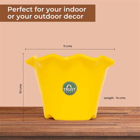 TrustBasket Blossom Pot 6-inch Table Top Planter Pot (Pack of 4)