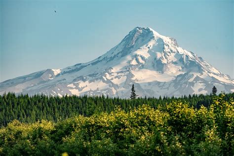 Image result for Decoding Computer Csience