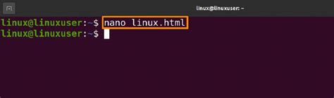 Netcat Command 的图像结果