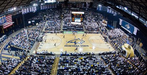 Montana State University Men's Basketball | TicketsWest