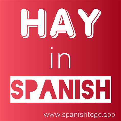 How to use HAY IN SPANISH?📕 https://www.spanishtogo.app/2021/04/what ...