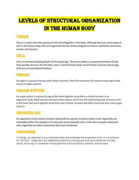 Example of System Structure 的图像结果