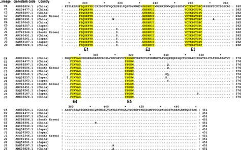 Image result for Epitope Mapping
