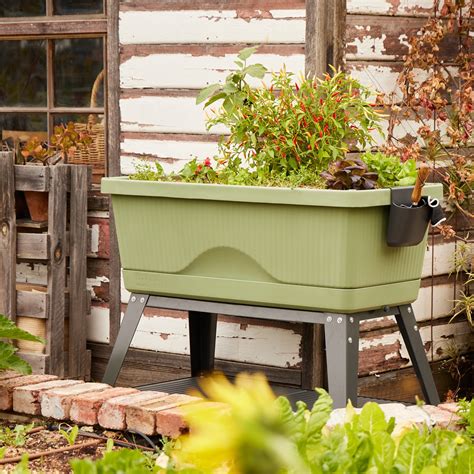 Georgie - The Self-Watering Planter – Backyard Farmer