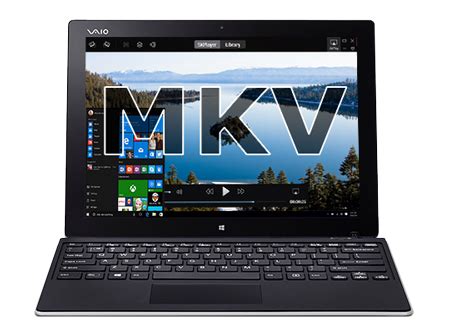 Image result for WMP Mkv Codec