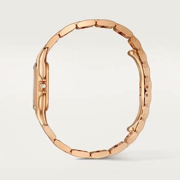 Panthère de Cartier: Luxury watches for women