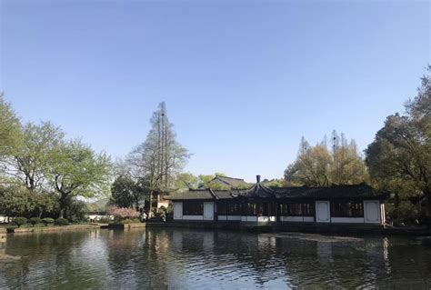 杭州西湖里，到处存诗境，人在其中 醉美的感觉谁人知
