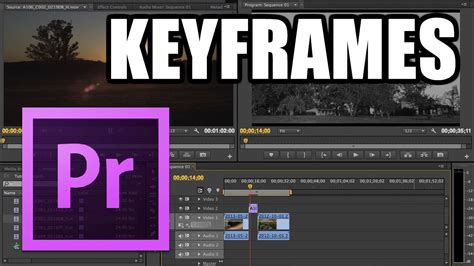 Premiere Pro Keyframes 的图像结果