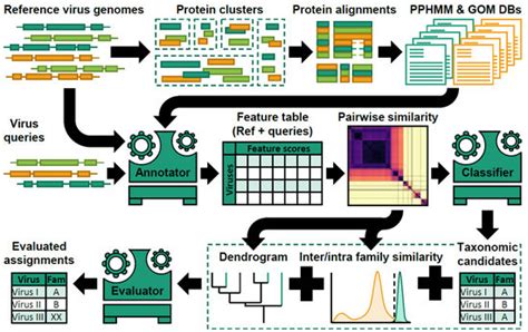 Viruses | Special Issue : Virus Bioinformatics