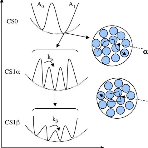 Protein Evolution Landscape 的图像结果