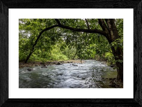 Buy Wall Art -‘Silonda Stream’ -Forest Landscape -Fine Art Photography ...