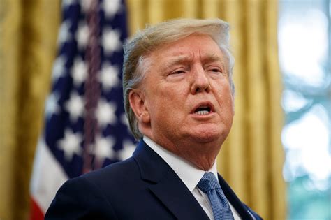 Donald Trump is no Adolf Hitler, who was a self-avowed socialist, a ...