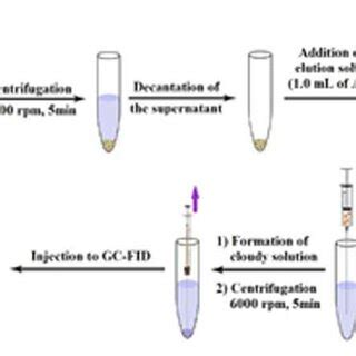 Infusion Extraction Method Procedure 的图像结果
