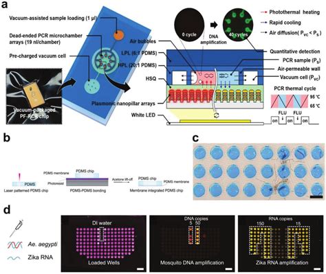 PCR Performance Chip Revamp Install 的图像结果