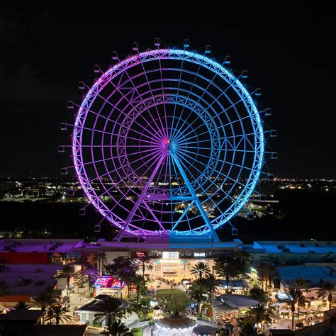 Gender Reveals | The Orlando Eye