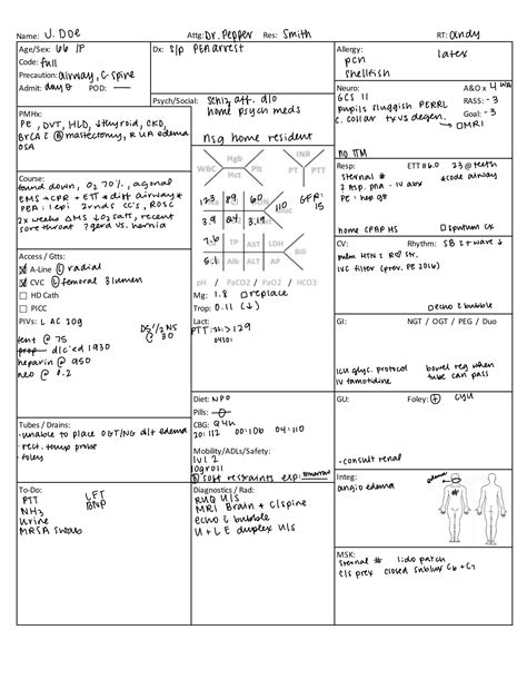 ICU Brain Sheet II / Critical Care Brain Sheet / Nursing Brain Sheet ...